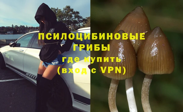 ALPHA-PVP Богородицк